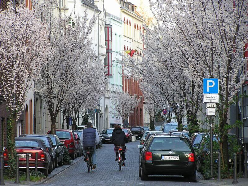 002 Bonn Georgstra�e