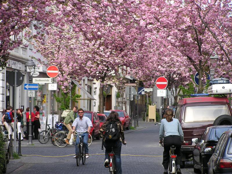 004 Bonn Heerstra�e