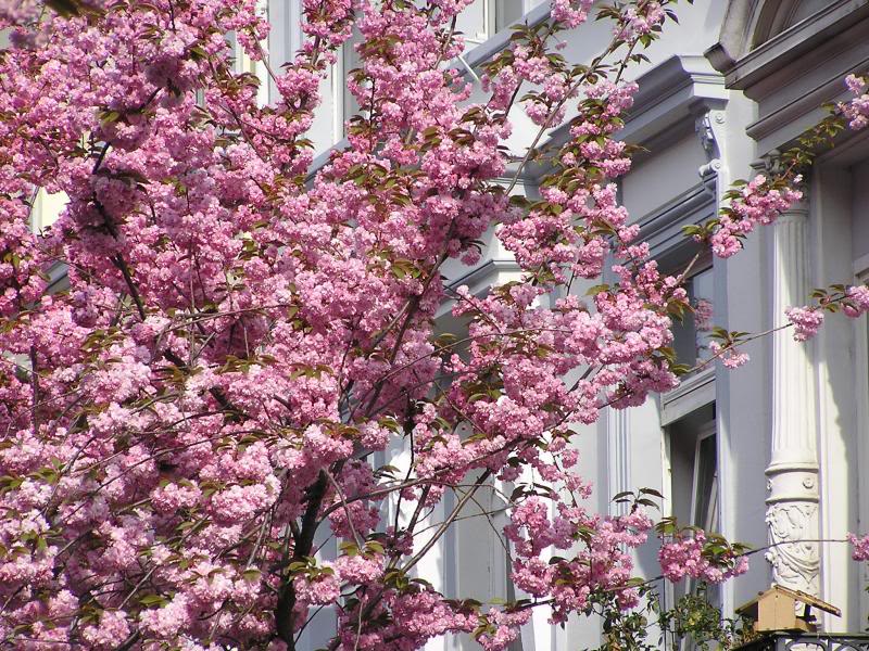 007 Bonn Heerstra�e