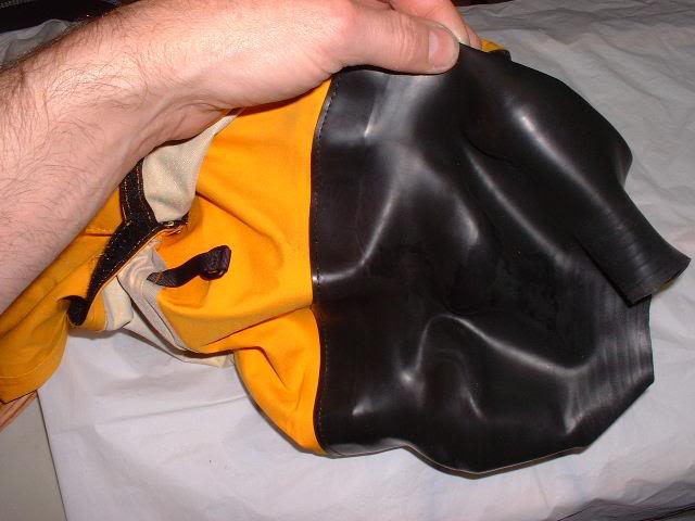 Neck Seals are More Complex