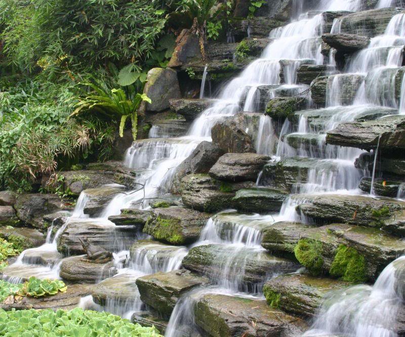 Cascades Falls .. see the Frog?