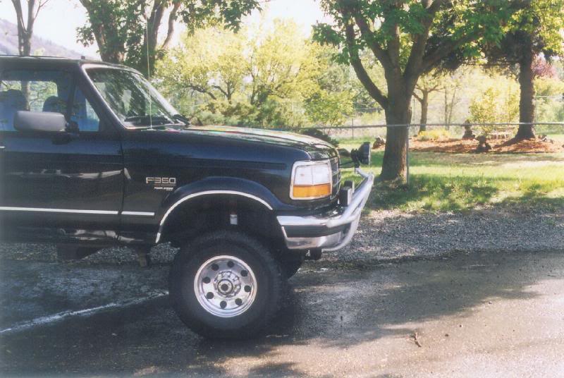 Profile view of Moose catcher