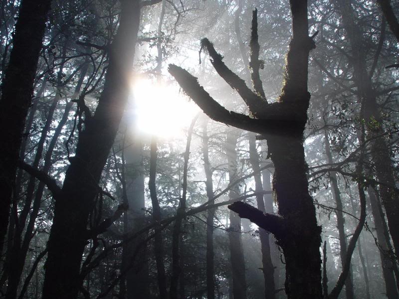 �`���������F