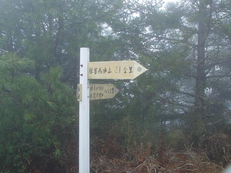 �f���}�n�s�f