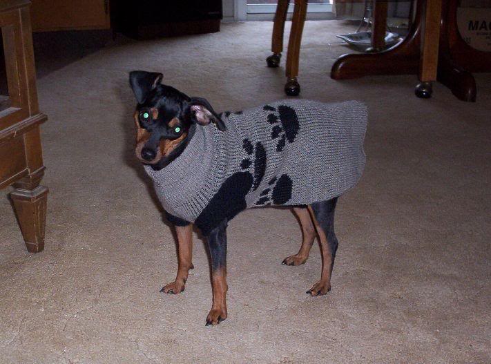 11-17-04 Jesse's new sweater