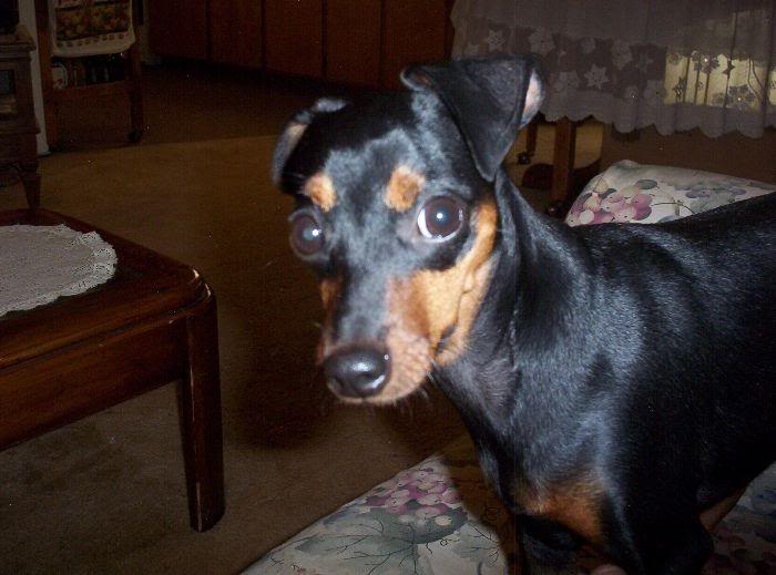 What You Talken 'Bout!