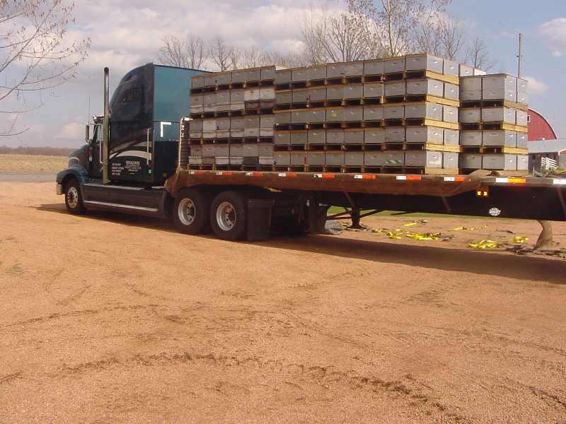 Before the net goes on