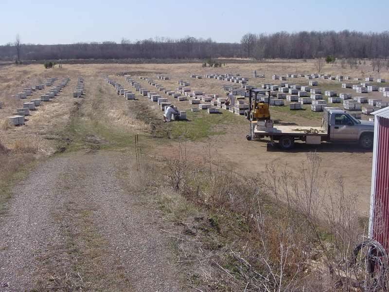 bee staging yard