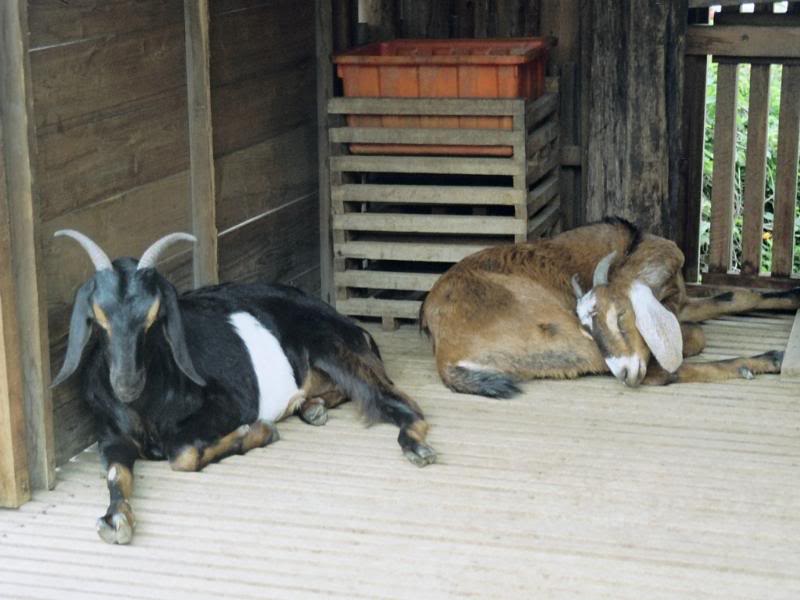 003.����������� �