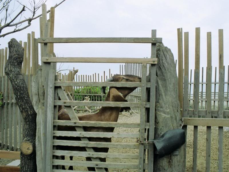 004.����������� �