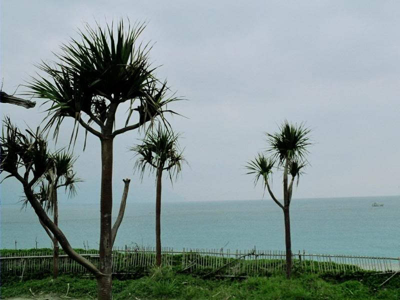 006.���������e� ���