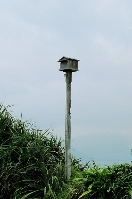 007.����������� O