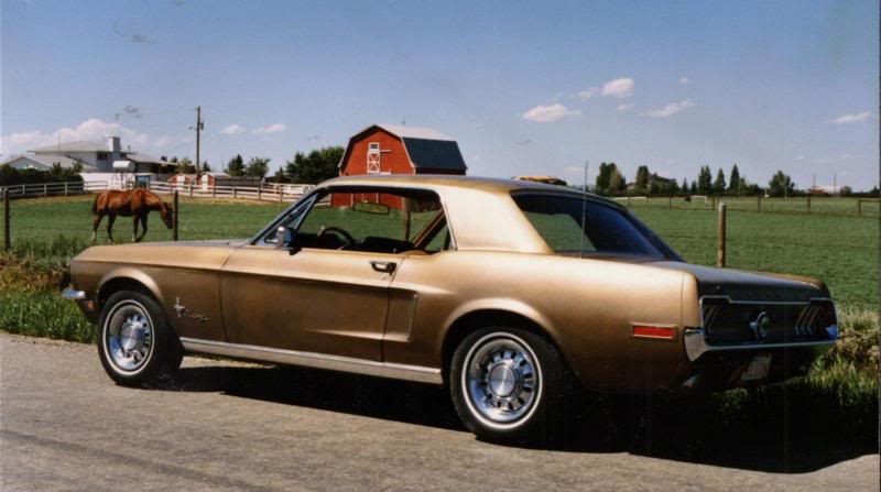 My 1968 Mustang Coupe ( Mazzepa. Ab )