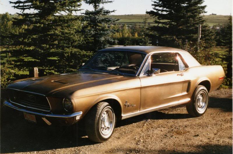 My 68 Mustang Coupe