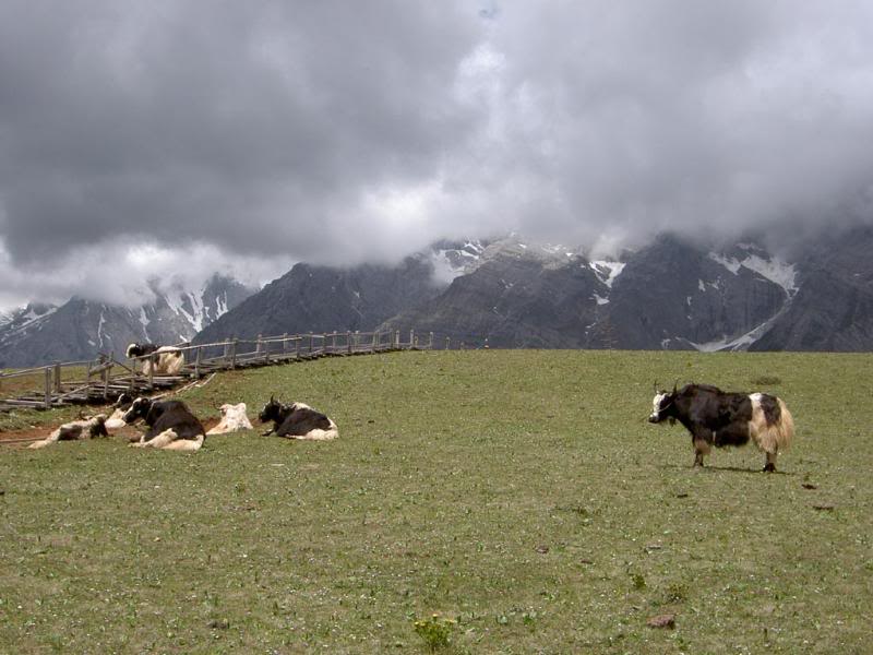 ������������