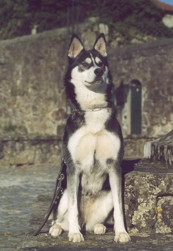 Margarida no Cruzeiro