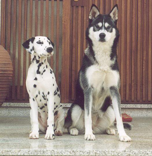 Matilde_Margari da_Porta