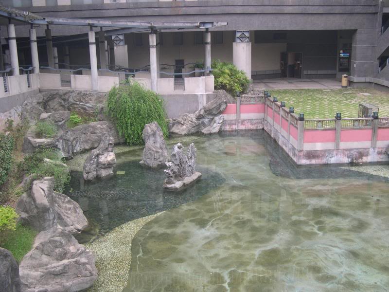 �E����MBG22���� �~�����E������� ���