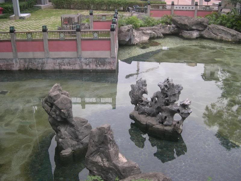 �E�����������@� �