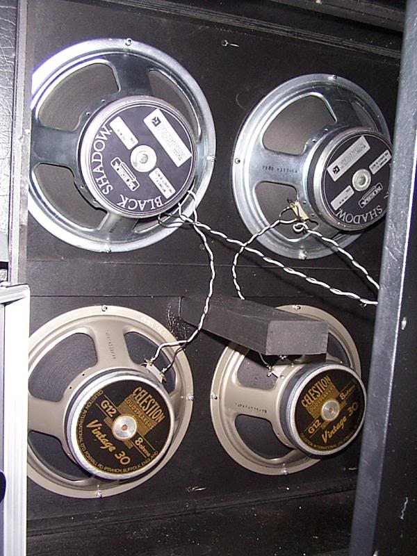 Mesa Cab Speakers (before re-load)