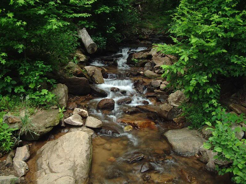 Creekbed, Amicalola Falls, Georgia