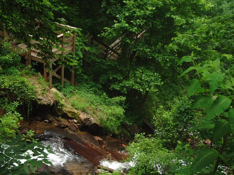 Stairway to the Top, Amicalola Falls, Georgia