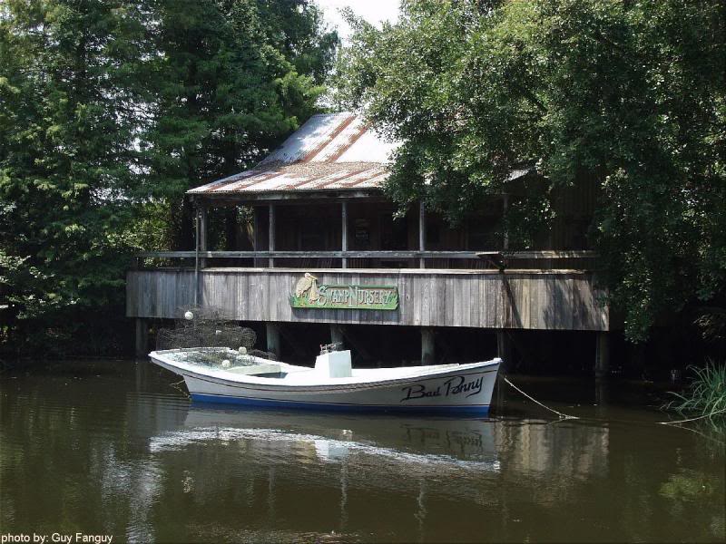 Louisiana Cajun Camp