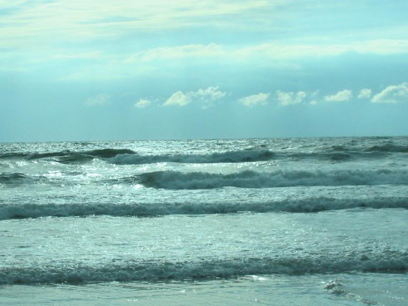 The Ocean in the Netherlands