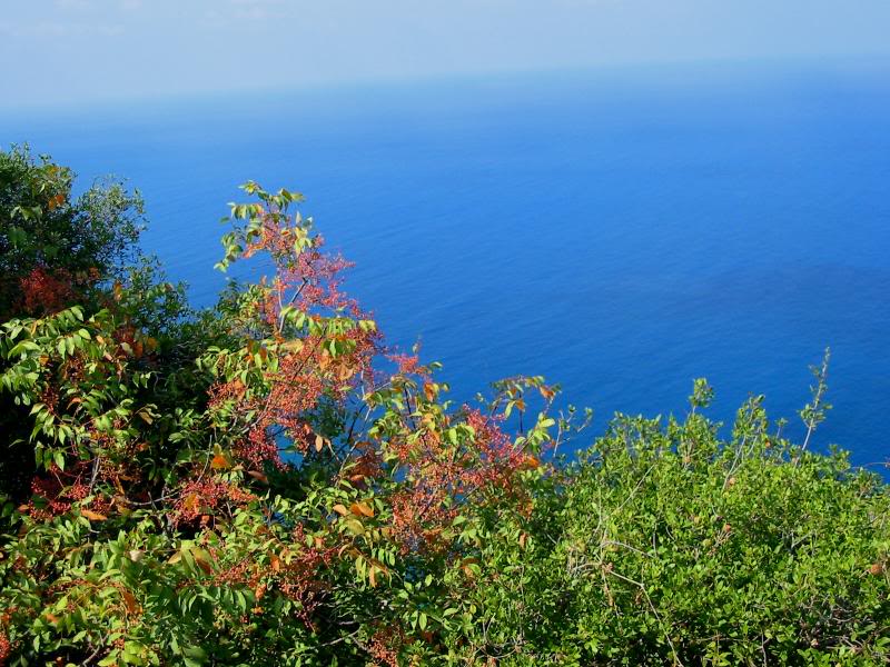 The Lebanese Coast On The Mediteranian Sea