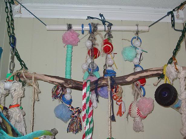Milos hanging toys (all bird safe plastic, tennis balls...