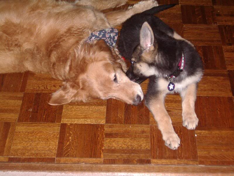 sebastianandjes sie1