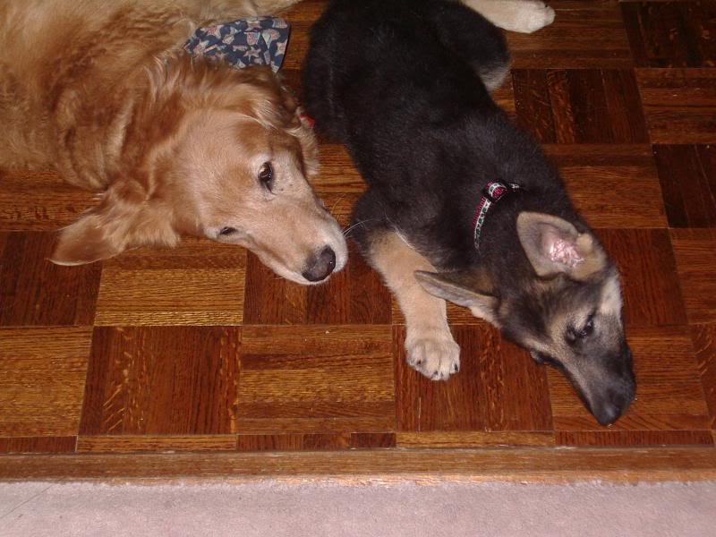 sebastianandjes sie2