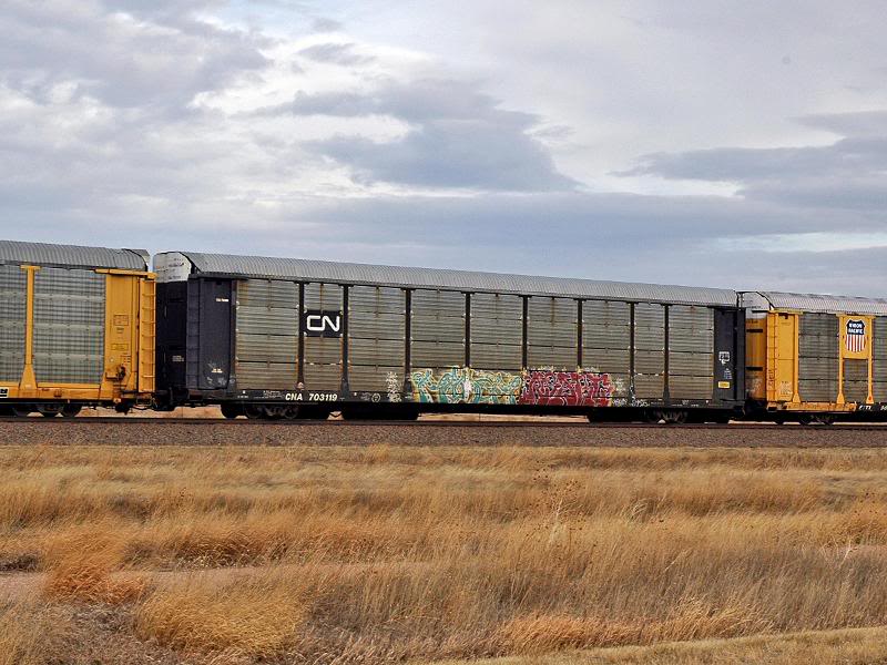 Autorack CN 703119