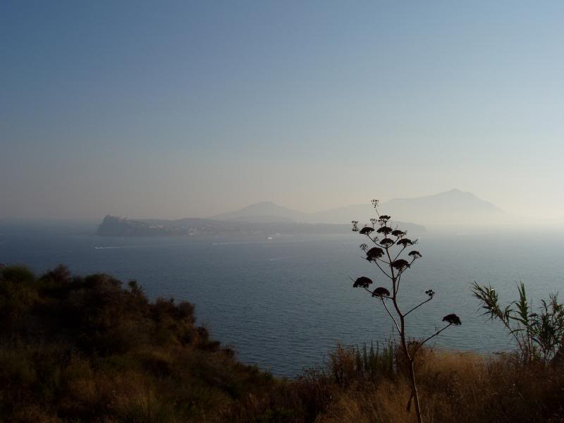 Isles of Procida and Ischia