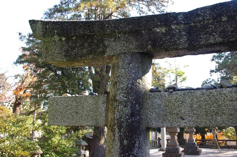 Stones on top of tori