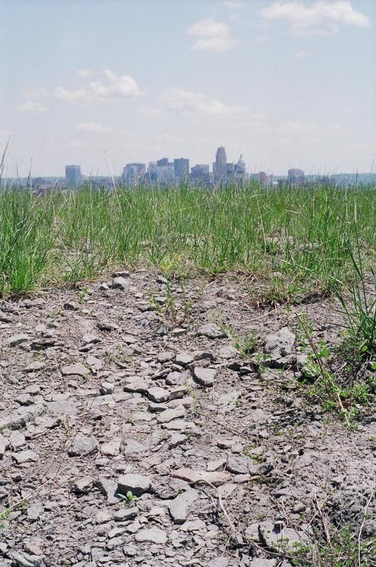 Cincinnati skyline , limestone under the topsoil .