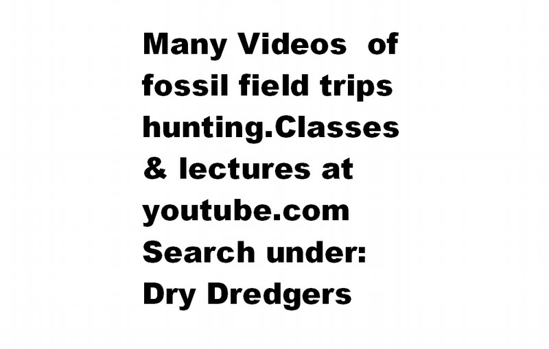 Dredger skylords promo