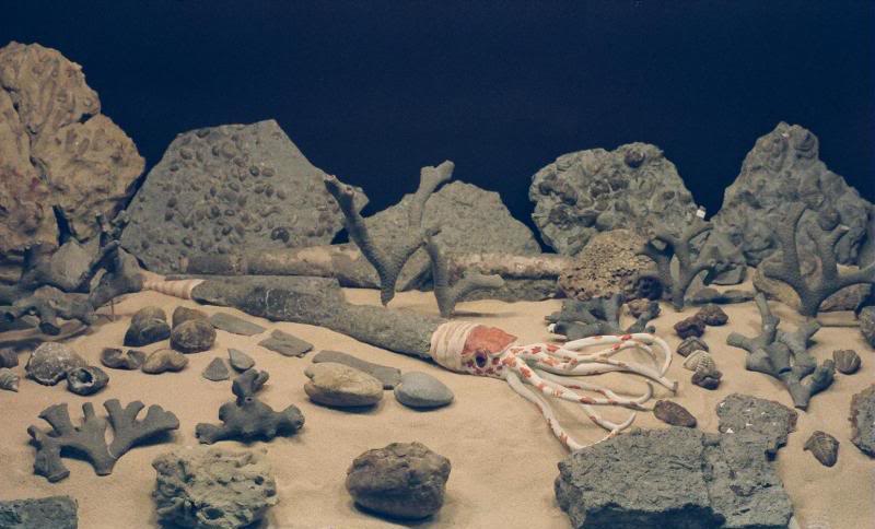 My Ordovician Diorama