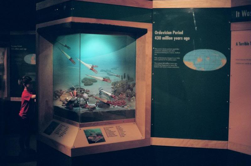 Ordovician Diorama - Cincinnati Natural History Museum