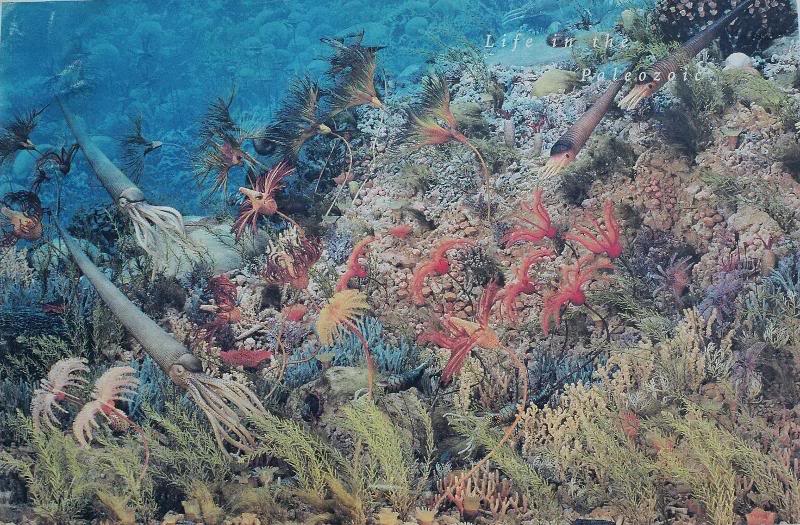 Paleozoic Diorama
