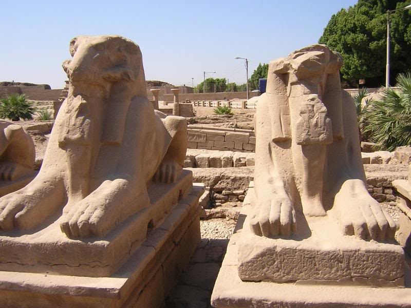 Karnak temple - Avenue of Sphinxes 2