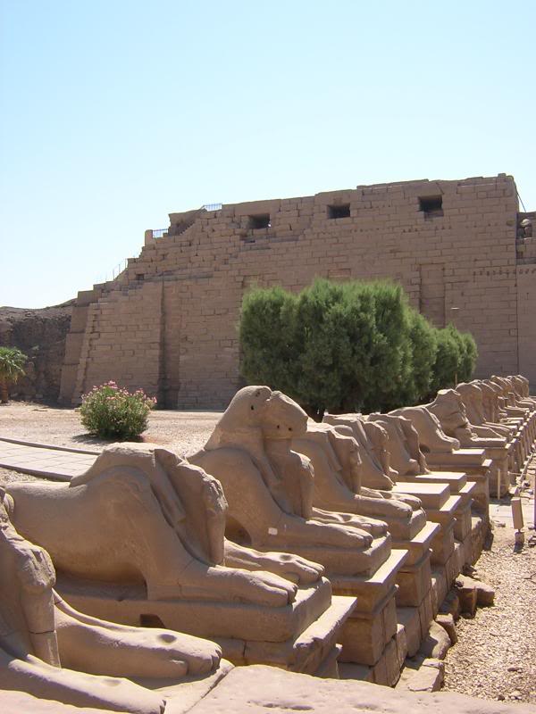 Karnak temple - Avenue of Sphinxes