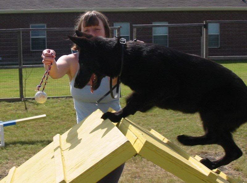 ariel09052004af rame