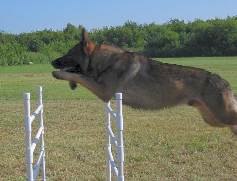 bodeus09052004p arallel