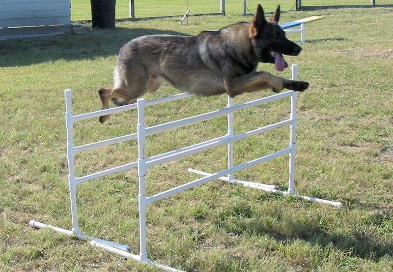 bodeus09052004p arallel2