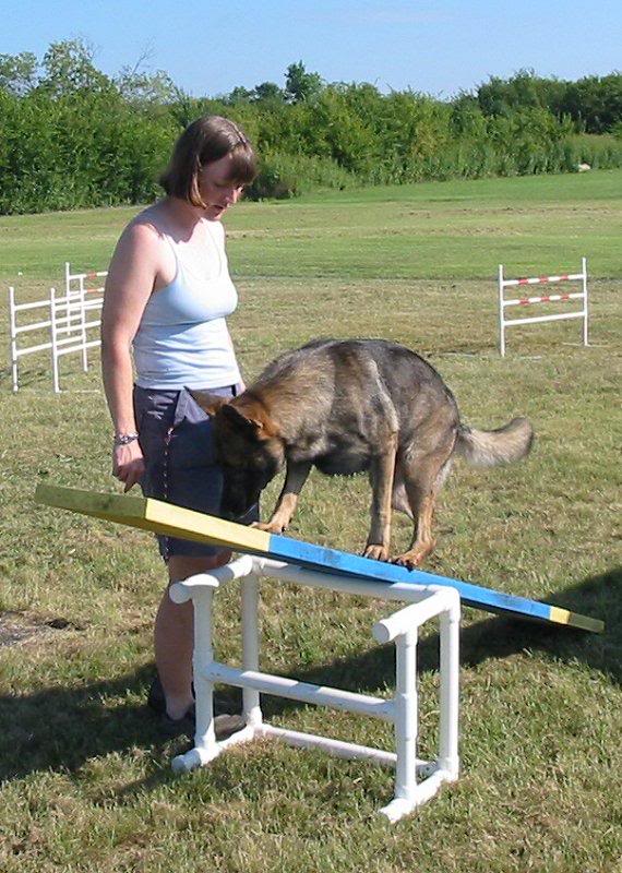 bodeus09052004s eesaw