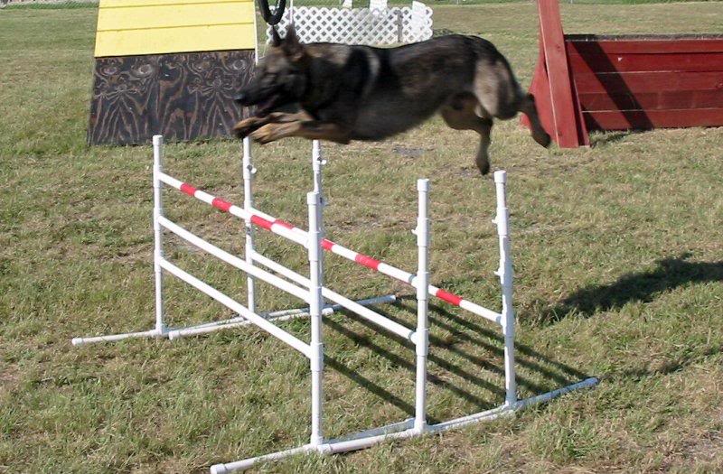 bodeus09052004t riple