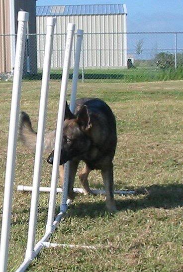 bodeus09052004w eave