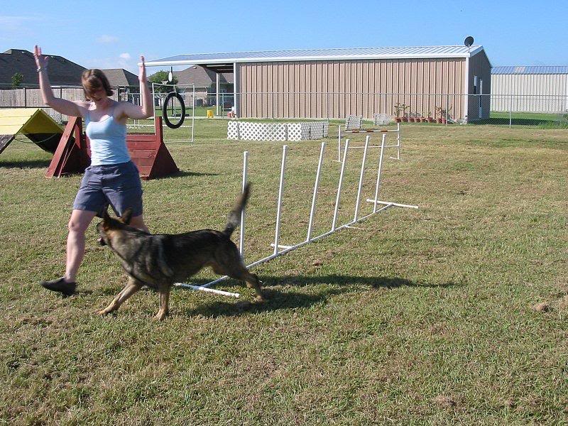 bodeus09052004w eave2