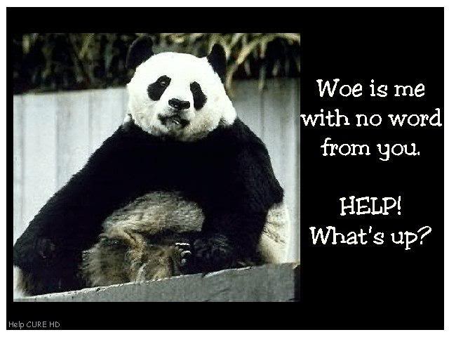 Woe Is Me With No Word From You-What's Up